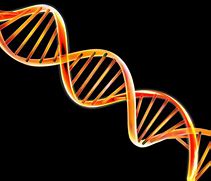 Image result for Double Helix Science