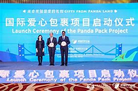 Image result for Chinese Panda Projec