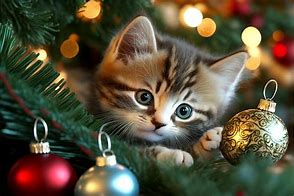 Image result for Cat Inside Christmas Tree