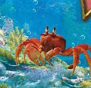 Image result for Sebastian the Little Mermaid Live-Action