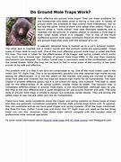 Image result for Ground Mole Traps