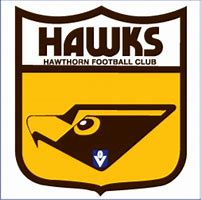 Image result for Hawthorn Football Club Memorabilia