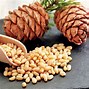 Image result for Winter Nuts