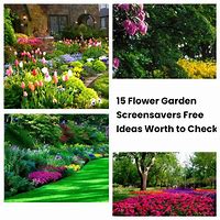 Image result for Flower Garden Screensavers Free