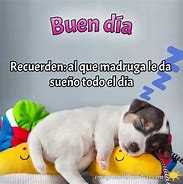 Image result for Imagenes Chistosas De Feliz DIA