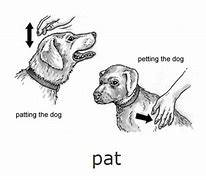 Image result for Pat the Animal