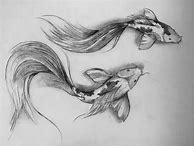 Image result for Draw a Koi Fish