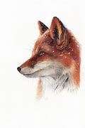 Image result for Realistic Cartoon Fox