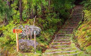 Image result for Hike to Pico Da Vara