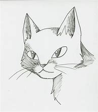 Image result for Cat Shading