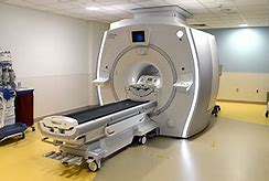 Image result for Pet MRI Scan