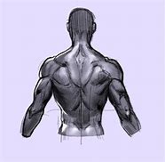 Image result for How to Draw a Person Back View