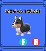 Image result for Royal Corgi