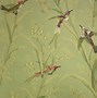 Image result for Verge Olive Green