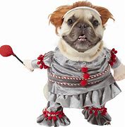 Image result for Cute Dog Halloween Costume Ideas