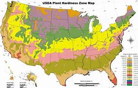 Image result for Flower Zones