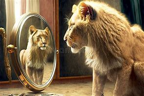 Image result for Cat Mirror Sees Lion