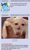 Image result for Vaporeon Know Your Meme