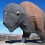 Image result for A Big Hit Buffalo