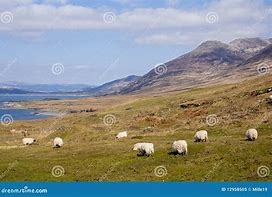 Image result for Mull Landscape