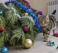 Image result for Cat Inside Christmas Tree