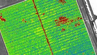 Image result for NDVI Drone Camera