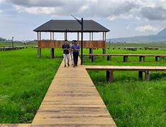 Image result for Agrowisata Ngalor Kalo Manggarai Barat