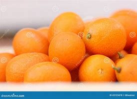 Image result for Kumquat Fruit Green and Orange