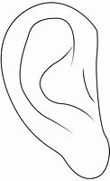 Image result for Ear Stencil