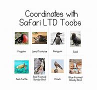 Image result for Safari LTD Galapagos Toob