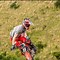 Image result for CRF 125 Shock