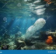 Image result for Floating Plastic Debris