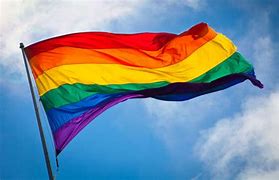 Image result for Rainbow Country Flag