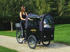 Image result for Best Electric Cargo Bike