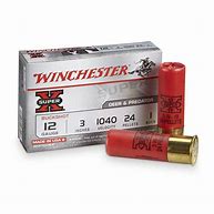 Image result for Buckshot Shells