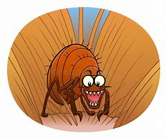 Image result for Flea and Tick Cartoon