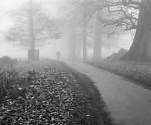 Image result for Crossing a Foggy Path