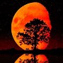 Image result for Blood Moon Wallpaper