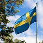 Image result for Det Svenske Flag