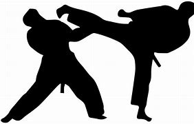 Image result for Taekwando Art