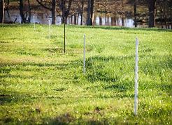 Image result for Usable Land On Earth