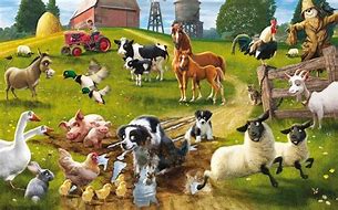 Image result for Farm Animal Shapes