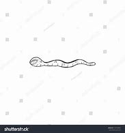 Image result for Parasite Cartoon