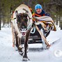 Image result for Finnish Sami