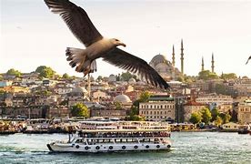 Image result for Bosphorus Cruise Tours Istanbul/Turkey