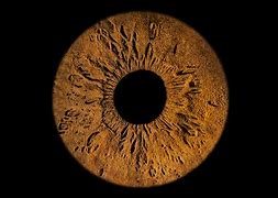 Image result for Eye Glimpse Photography