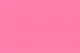 Image result for Baby Pink Bra