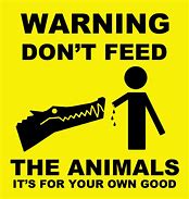 Image result for Feeding Farm Animals in Mud Meme