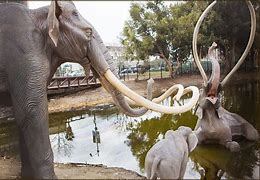 Image result for La Brea Tar Pits Woolly Mammoth