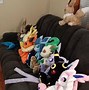 Image result for To My Eeveelution Plushies